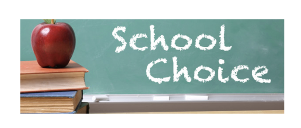 school choice image
