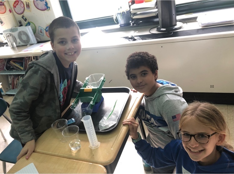 Students conducting experiments